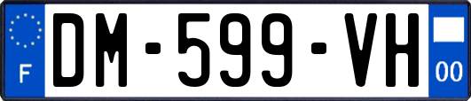 DM-599-VH