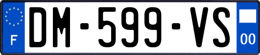 DM-599-VS