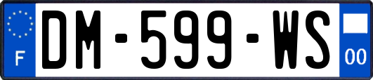 DM-599-WS