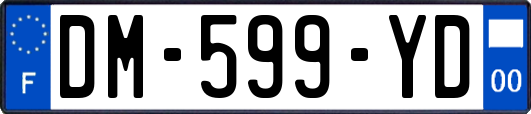 DM-599-YD