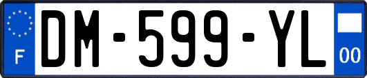 DM-599-YL