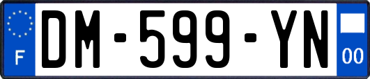 DM-599-YN