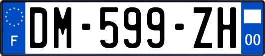 DM-599-ZH