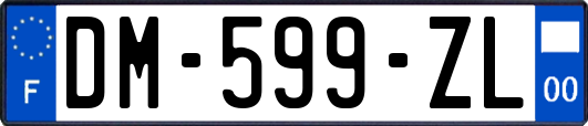 DM-599-ZL