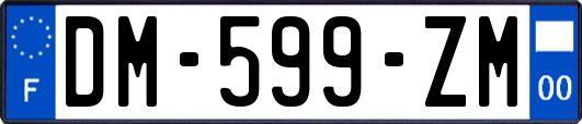 DM-599-ZM