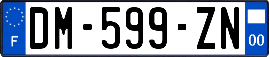 DM-599-ZN