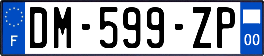 DM-599-ZP