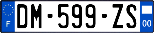 DM-599-ZS