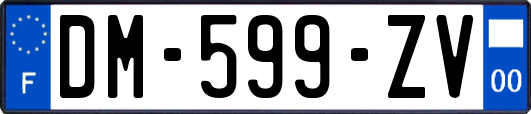 DM-599-ZV