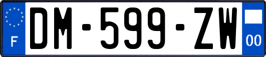 DM-599-ZW