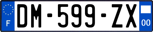 DM-599-ZX