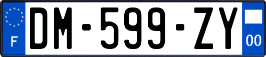 DM-599-ZY