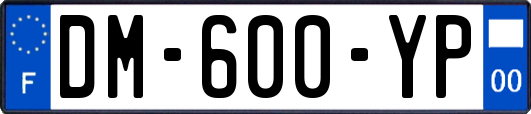 DM-600-YP