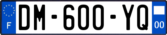 DM-600-YQ