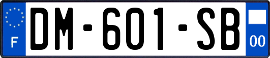 DM-601-SB