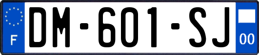 DM-601-SJ