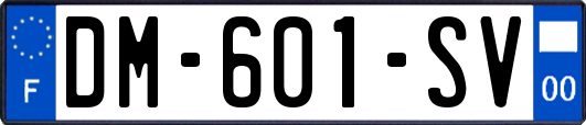 DM-601-SV