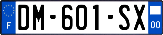 DM-601-SX