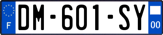 DM-601-SY