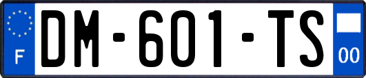 DM-601-TS
