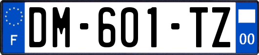 DM-601-TZ