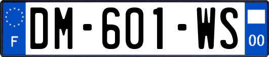 DM-601-WS