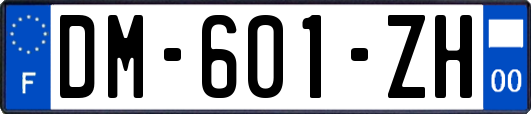 DM-601-ZH