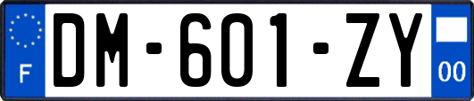 DM-601-ZY