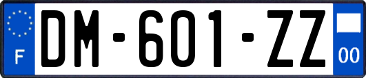 DM-601-ZZ