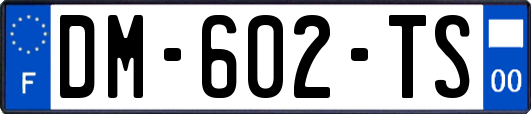 DM-602-TS