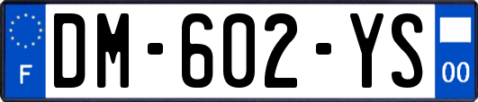 DM-602-YS