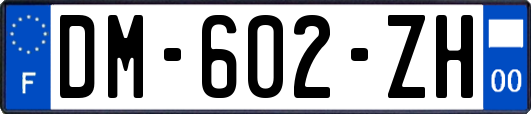 DM-602-ZH