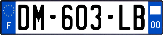 DM-603-LB