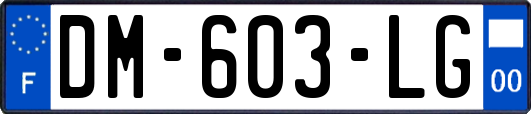 DM-603-LG