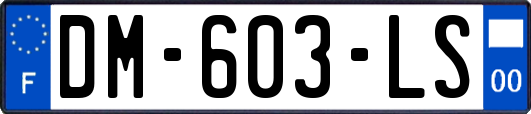 DM-603-LS