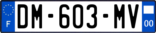 DM-603-MV
