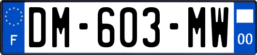 DM-603-MW