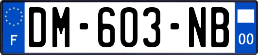 DM-603-NB