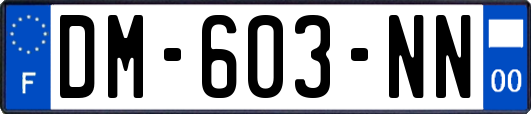 DM-603-NN