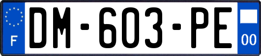 DM-603-PE