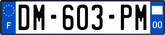 DM-603-PM