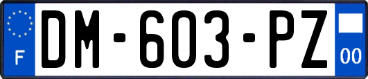 DM-603-PZ