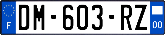 DM-603-RZ