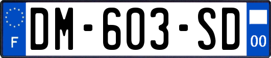 DM-603-SD
