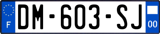 DM-603-SJ