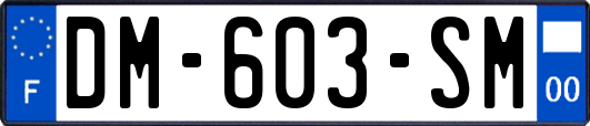 DM-603-SM
