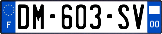 DM-603-SV