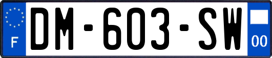 DM-603-SW