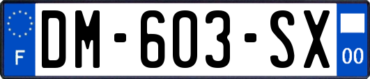 DM-603-SX