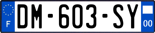 DM-603-SY